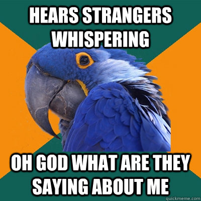 HEARS STRANGERS WHISPERING OH GOD WHAT ARE THEY SAYING ABOUT ME  Paranoid Parrot