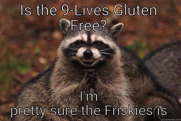 Hippie Racoon - IS THE 9-LIVES GLUTEN FREE? I'M PRETTY SURE THE FRISKIES IS Evil Plotting Raccoon