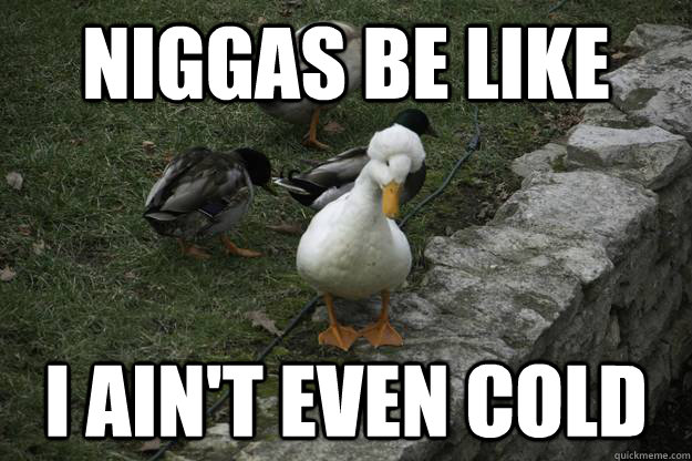 Niggas be like I ain't even cold - Niggas be like I ain't even cold  Afro Duck