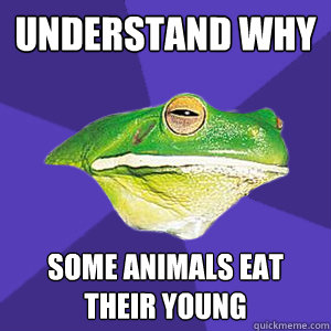understand why some animals eat their young - understand why some animals eat their young  Foul Full-Time-Mum Frog