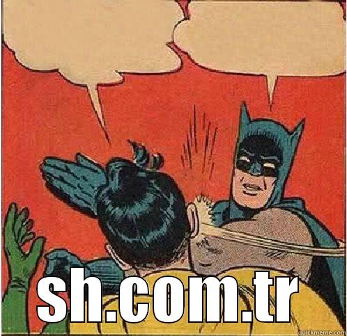  SH.COM.TR Batman Slapping Robin