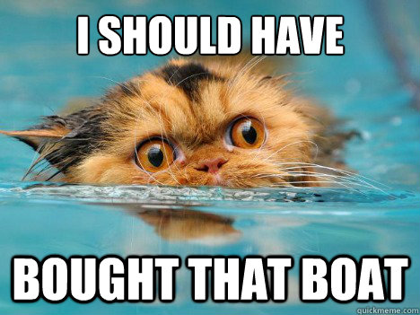I should have bought that boat - I should have bought that boat  Drowning Cat