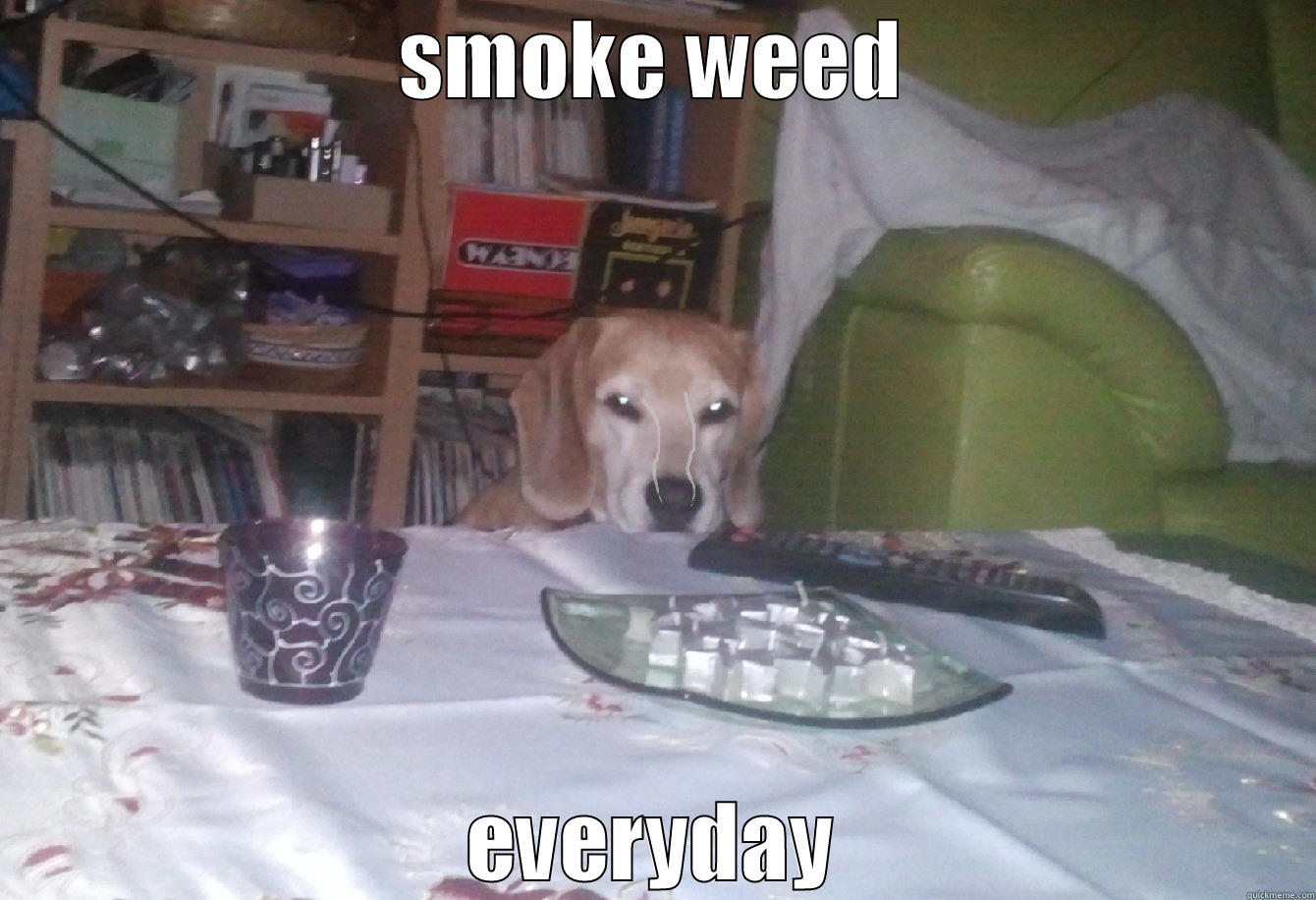 SMOKE WEED EVERYDAY Misc
