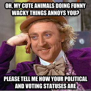 Oh, my cute animals doing funny wacky things annoys you? Please tell me how your political and voting statuses are  Condescending Wonka