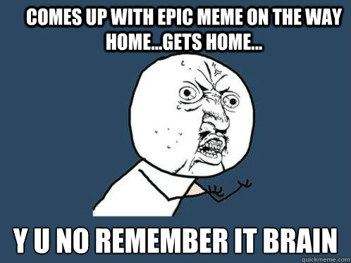 comes up with epic meme on the way home...gets home... y u no remember it brain  Y U No