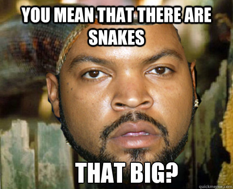 You mean that there are snakes THAT BIG?  confused icecube