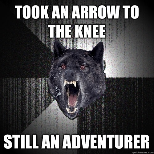 Took an arrow to the knee Still an adventurer  Insanity Wolf