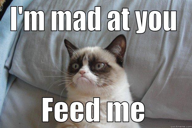 Grumpy Cat - I'M MAD AT YOU FEED ME Grumpy Cat