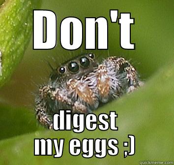 Hairy Spider Sez - DON'T DIGEST MY EGGS ;) Misunderstood Spider