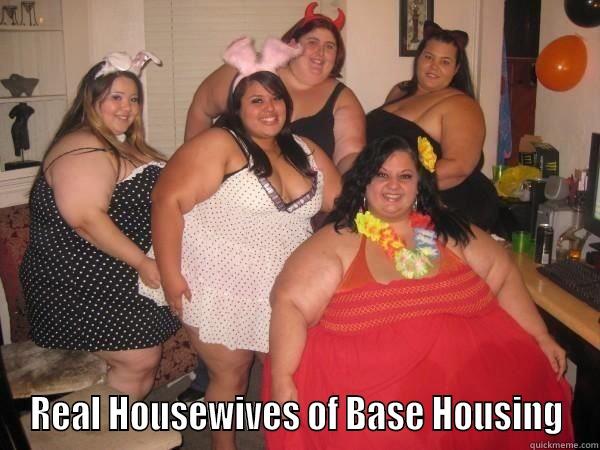  REAL HOUSEWIVES OF BASE HOUSING Misc