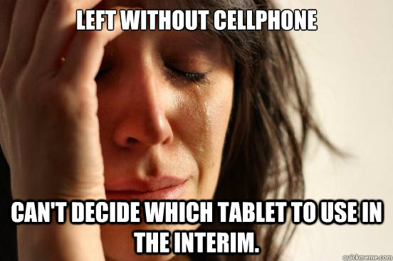 Left without cellphone Can't decide which tablet to use in the interim.  First World Problems