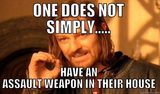 ONE DOES NOT SIMPLY..... HAVE AN ASSAULT WEAPON IN THEIR HOUSE Boromir