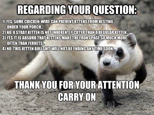 Regarding your question: 1) Yes, some chicken-wire can prevent kttens from nesting 
      under your porch...
2) No, a stray kitten is not inherently cuter than a regular kitten...
3) Yes it is absurd that kittens make the front page so much more 
      o  Frequently-Asked Question Ferret