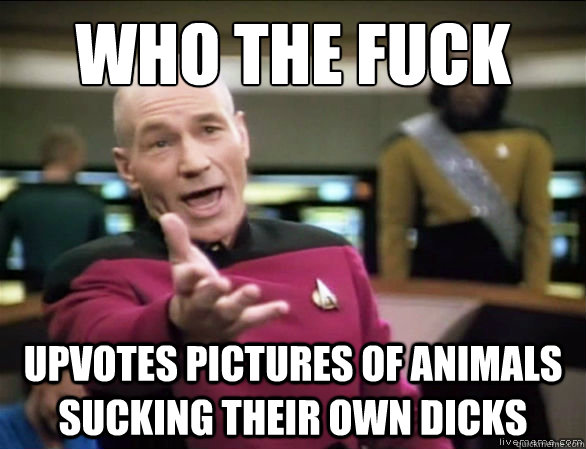 who the fuck upvotes pictures of animals sucking their own dicks  Annoyed Picard HD