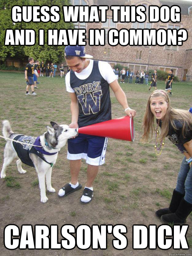 Guess what this dog and i have in common? Carlson's dick  Mario Party