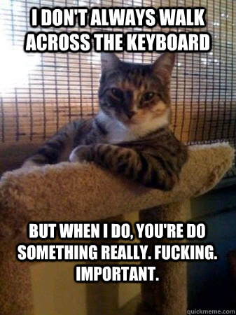 I don't always walk across the keyboard but when I do, you're do something really. fucking. important.  The Most Interesting Cat in the World