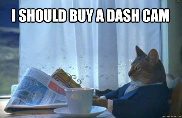 I should buy a dash cam  Sophisticated Cat