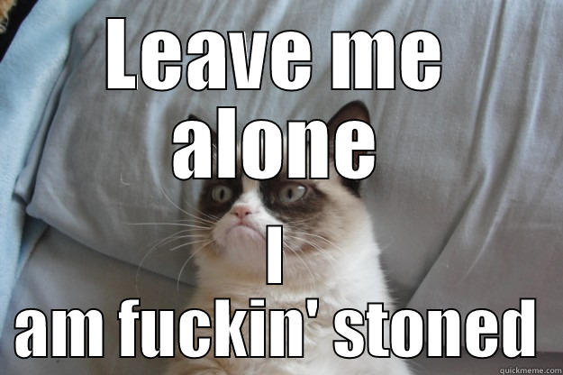 I will ignore you!! - LEAVE ME ALONE I AM FUCKIN' STONED Grumpy Cat