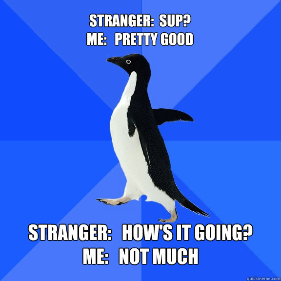 stranger:  sup?
me:   pretty good stranger:   how's it going?
me:   not much
  Socially Awkward Penguin