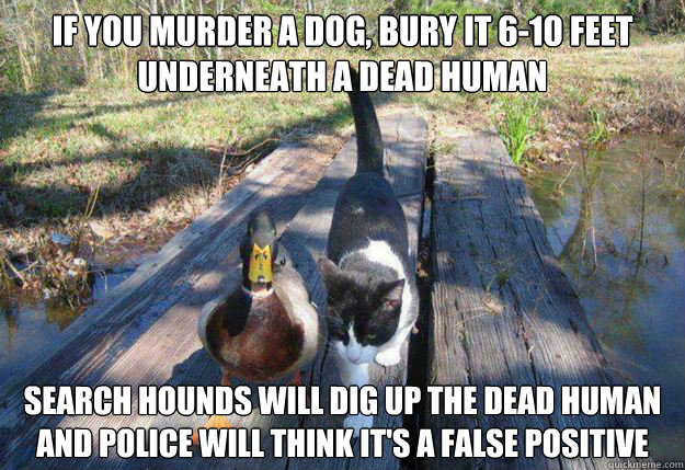 If you murder a dog, bury it 6-10 feet underneath a dead human Search hounds will dig up the dead human and police will think it's a false positive - If you murder a dog, bury it 6-10 feet underneath a dead human Search hounds will dig up the dead human and police will think it's a false positive  Boat advice