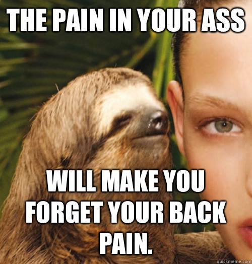 The pain in your ass Will make you forget your back pain.  Whispering Sloth