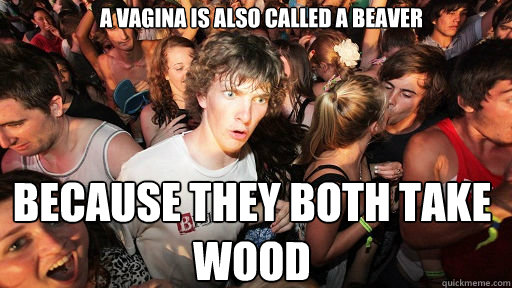 A vagina is also called a Beaver Because they both take wood  Sudden Clarity Clarence