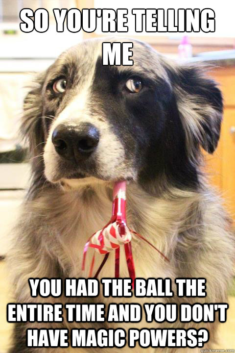 So you're telling me You had the ball the entire time and you DON'T have magic powers?  Skeptical Dog