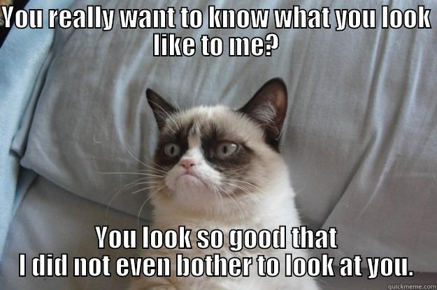 YOU REALLY WANT TO KNOW WHAT YOU LOOK LIKE TO ME? YOU LOOK SO GOOD THAT I DID NOT EVEN BOTHER TO LOOK AT YOU. Grumpy Cat