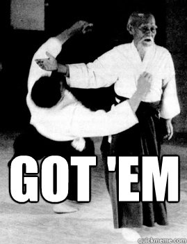 Got 'em  Aikido slap a bitch