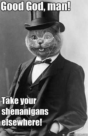 Good God, man! Take your shenanigans elsewhere! - Good God, man! Take your shenanigans elsewhere!  Stately Cat