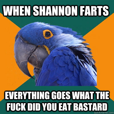 WHEN SHANNON FARTS EVERYTHING GOES WHAT THE FUCK DID YOU EAT BASTARD  Paranoid Parrot