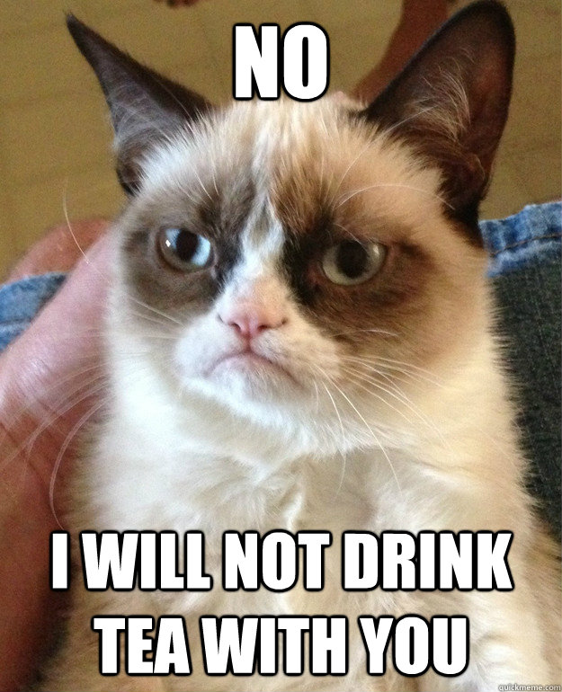 NO I will not drink tea with you  Angry Cat