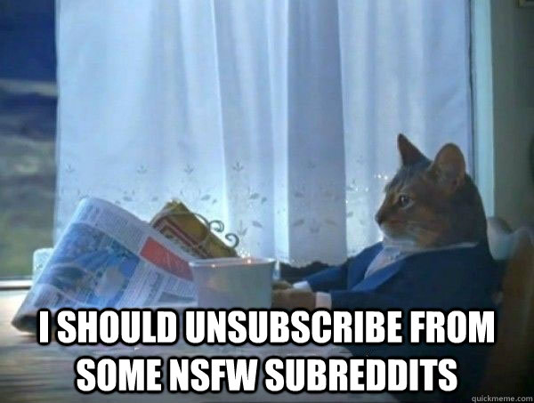  I should unsubscribe from some NSFW subreddits  morning realization newspaper cat meme