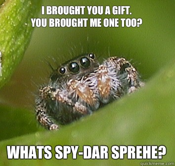 I brought you a gift.
You brought me one too?
 Whats spy-dar sprehe?  Misunderstood Spider