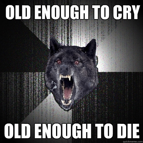 old enough to cry old enough to die  Insanity Wolf