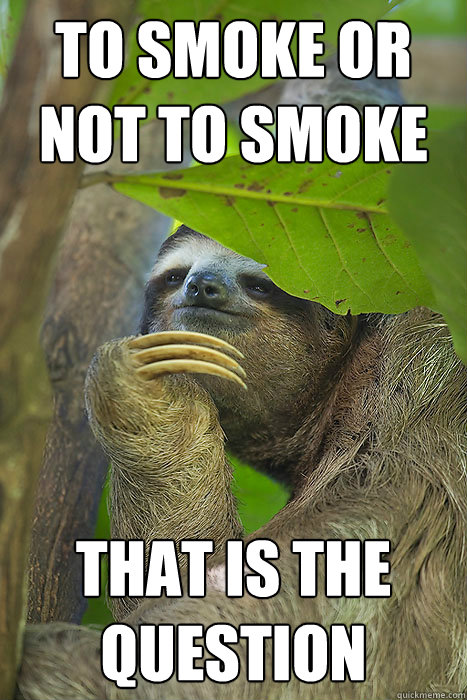 To smoke or not to smoke that is the question  Philososloth