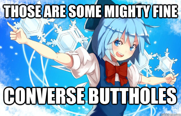 those are some mighty fine converse buttholes  happy cirno