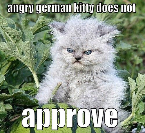 angry german kitty - ANGRY GERMAN KITTY DOES NOT APPROVE German Kitty