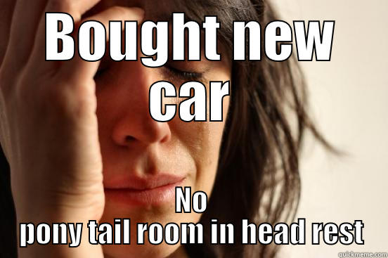 BOUGHT NEW CAR NO PONY TAIL ROOM IN HEAD REST First World Problems