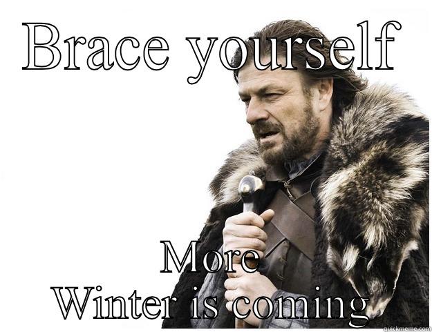 BRACE YOURSELF MORE WINTER IS COMING Imminent Ned
