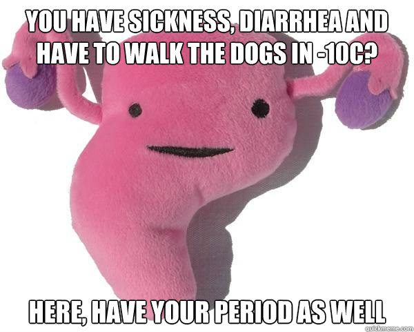 You have sickness, diarrhea and have to walk the dogs in -10C? Here, have your period as well  