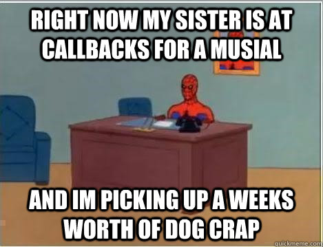 Right now my sister is at callbacks for a musial and im picking up a weeks worth of dog crap  Spiderman Desk