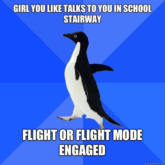 Girl you like talks to you in school stairway   Flight or flight mode engaged  Socially Awkward Penguin