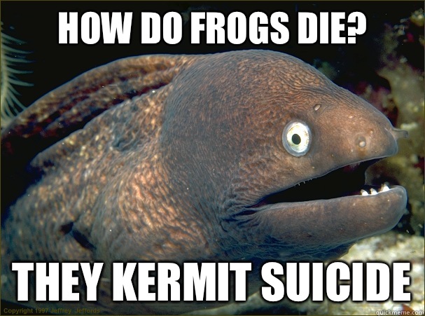How do frogs die? They Kermit suicide  Bad Joke Eel