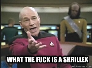  what the fuck is a skrillex  Annoyed Picard