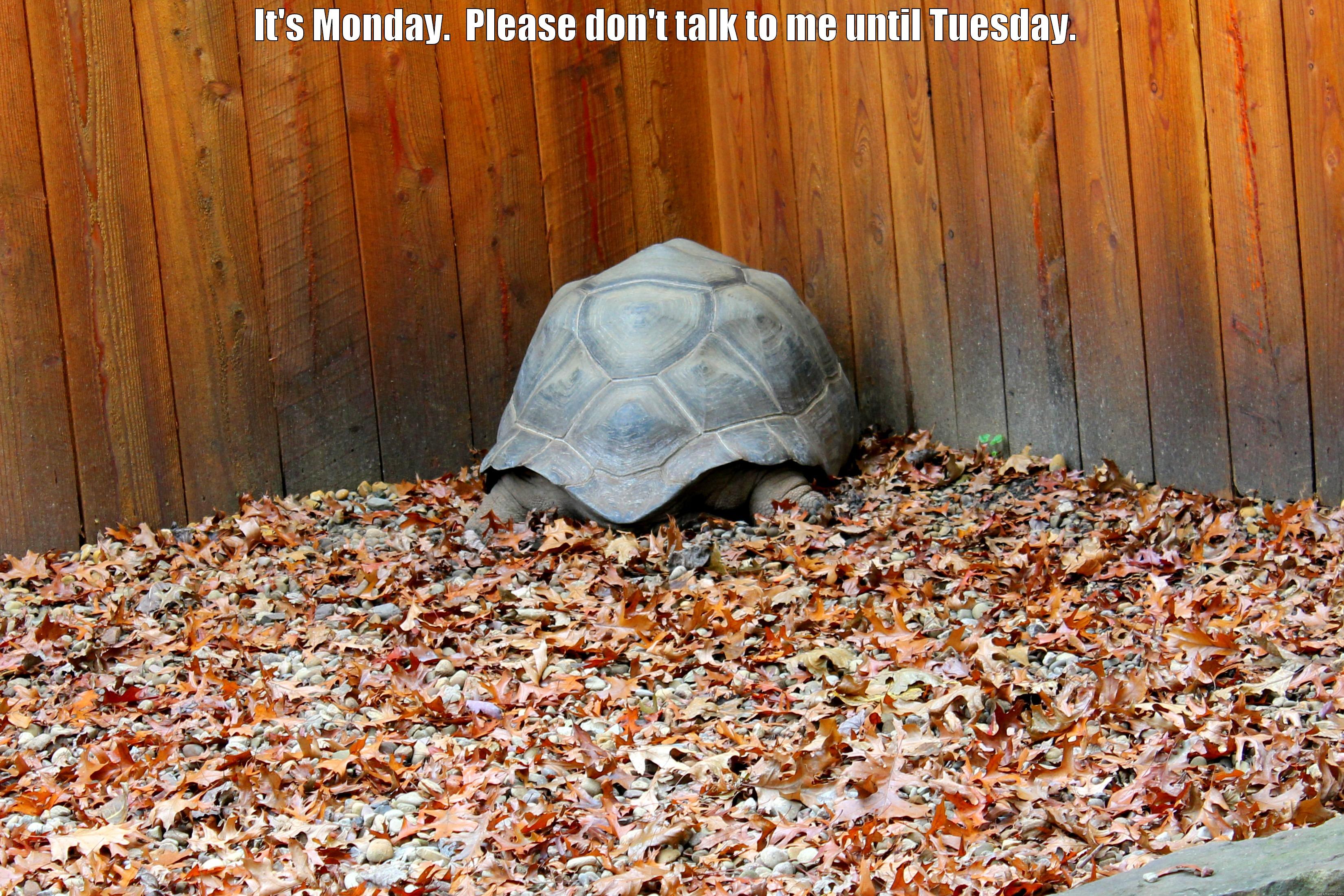 IT'S MONDAY.  PLEASE DON'T TALK TO ME UNTIL TUESDAY.   Misc