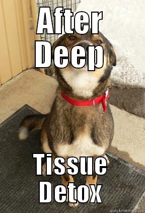 AFTER DEEP TISSUE DETOX Good Dog Greg