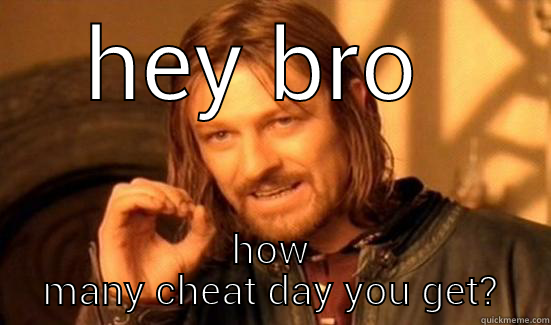 HEY BRO  HOW MANY CHEAT DAY YOU GET? Boromir