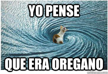 yo pense que era oregano  Goodbye Cat