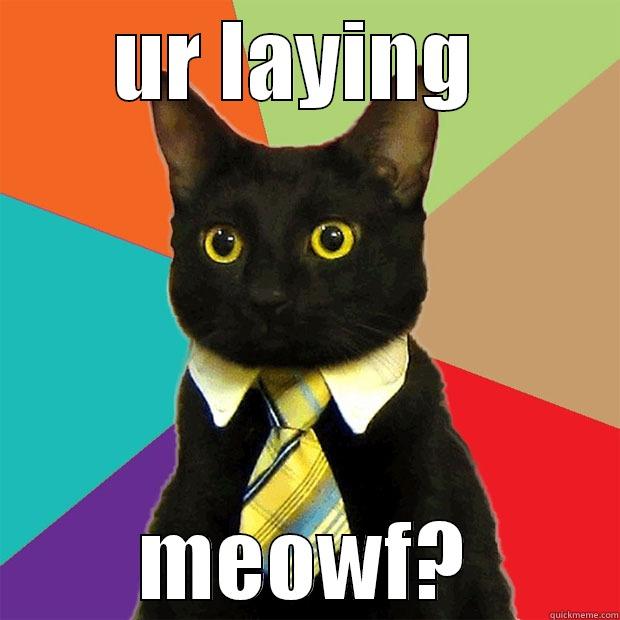 UR LAYING  MEOWF? Business Cat